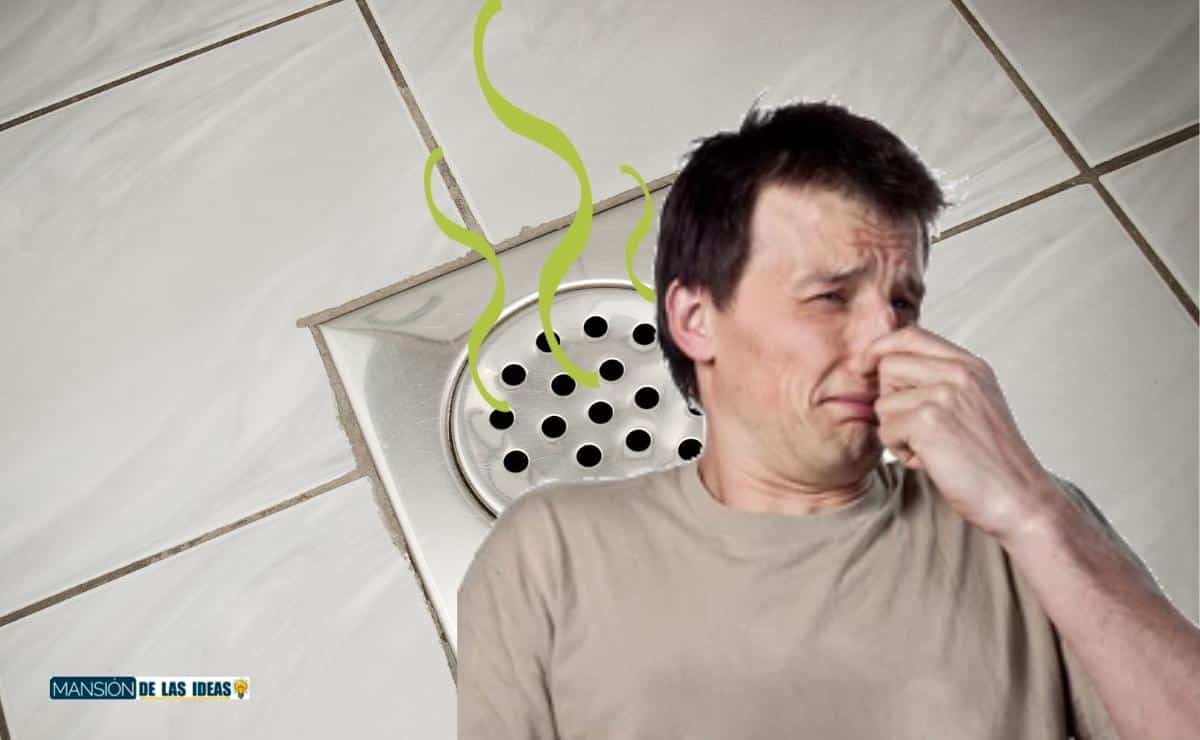cómo evitar mal olor desagües