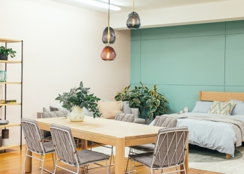 dormitorio abierto con pared verde, mesa y estanteria de madera y una planta