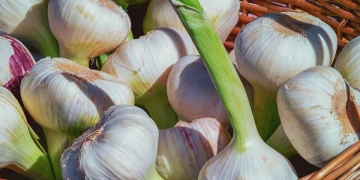 ajo