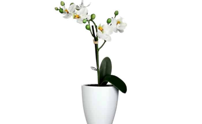 Plantas artificiales Verdecora Phalaenopsis
