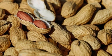 como plantar cacahuetes