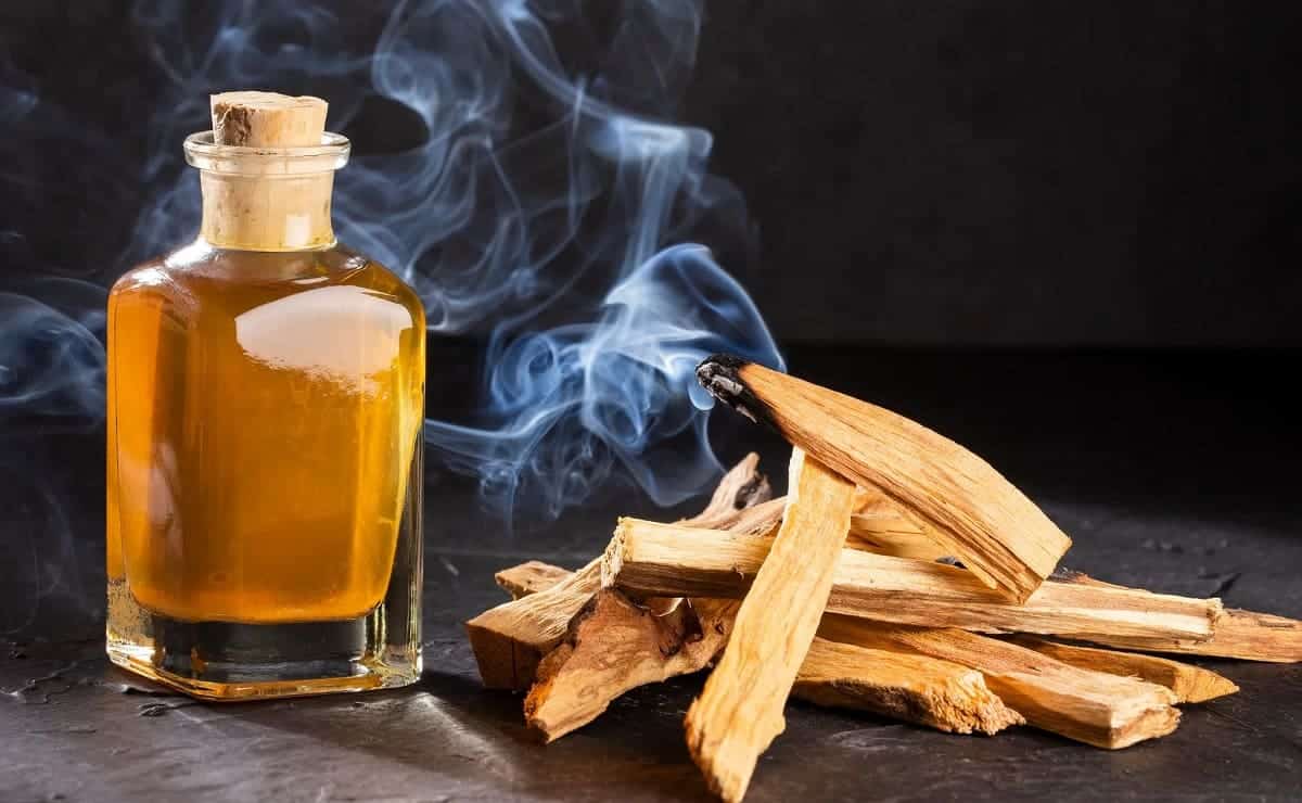 limpiar malas energias palo santo
