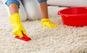 limpiar manchas alfombras vinagre bicarbonato