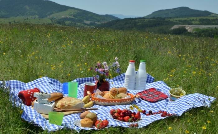 lugar ideal picnic