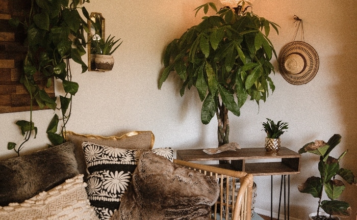 sofá de mimbre con cojines en blanco y negro y muchas plantas