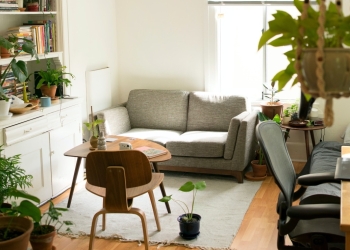 salón con sofá fris, mesa con silla, estantería y diversas plantas