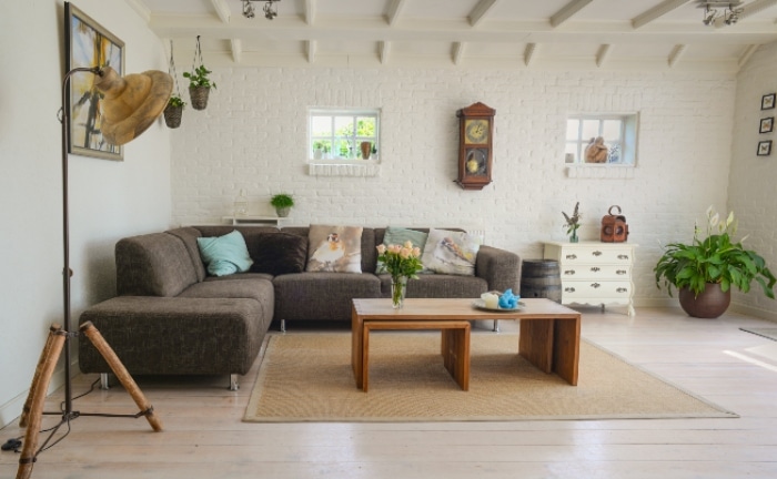 salón con mesa y accesprio de madera, plantas y alfombras