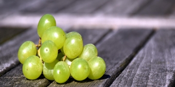 como germinar semillas de uvas