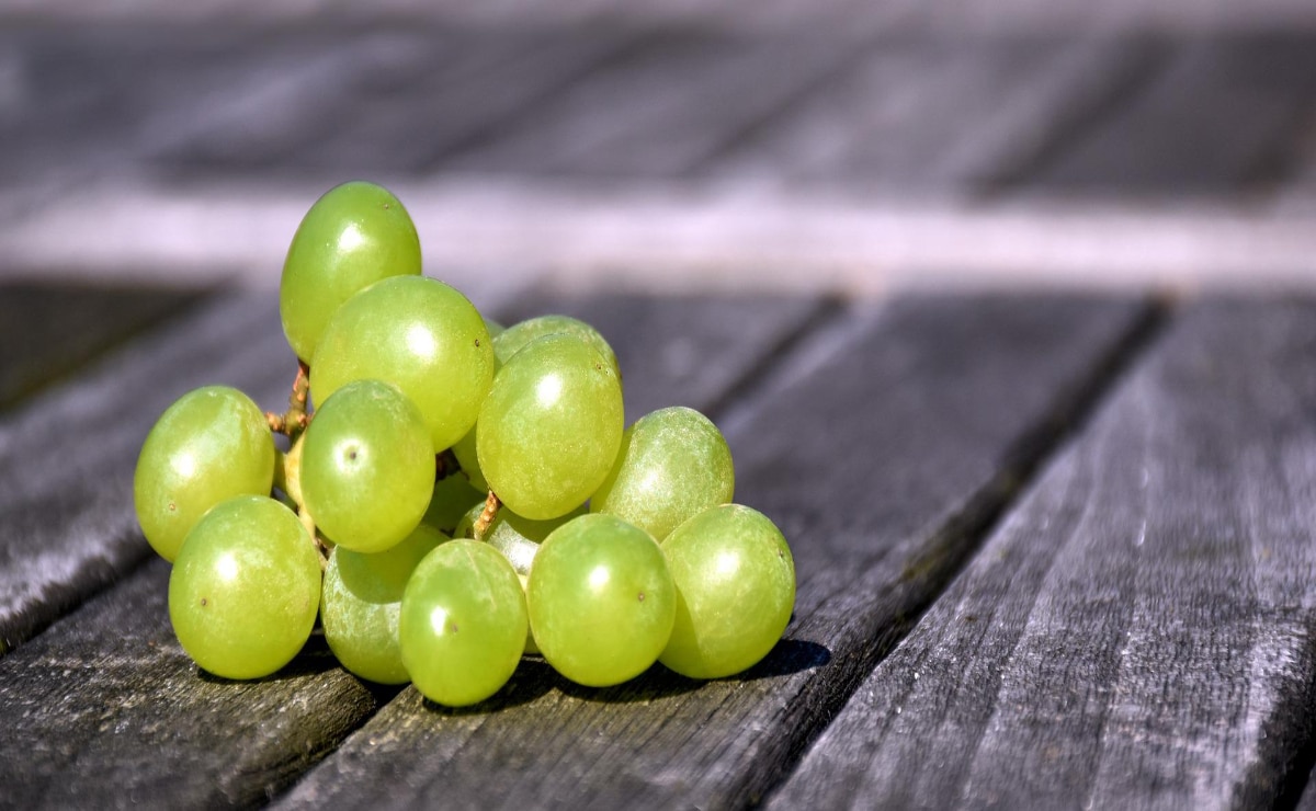 como germinar semillas de uvas