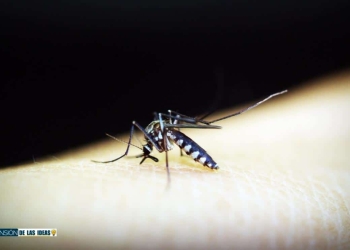 cómo hacer antimosquitos natural