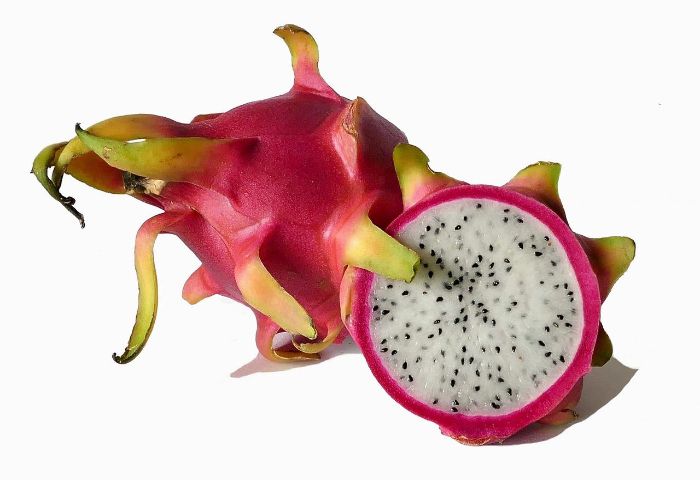 como plantar pitaya
