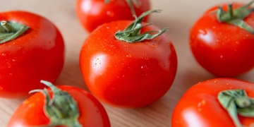 tomate en maceta
