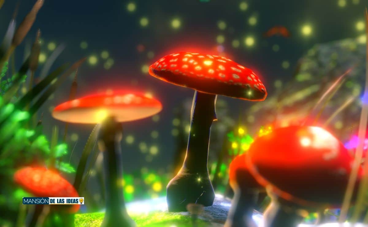 gnomos jardin decorar