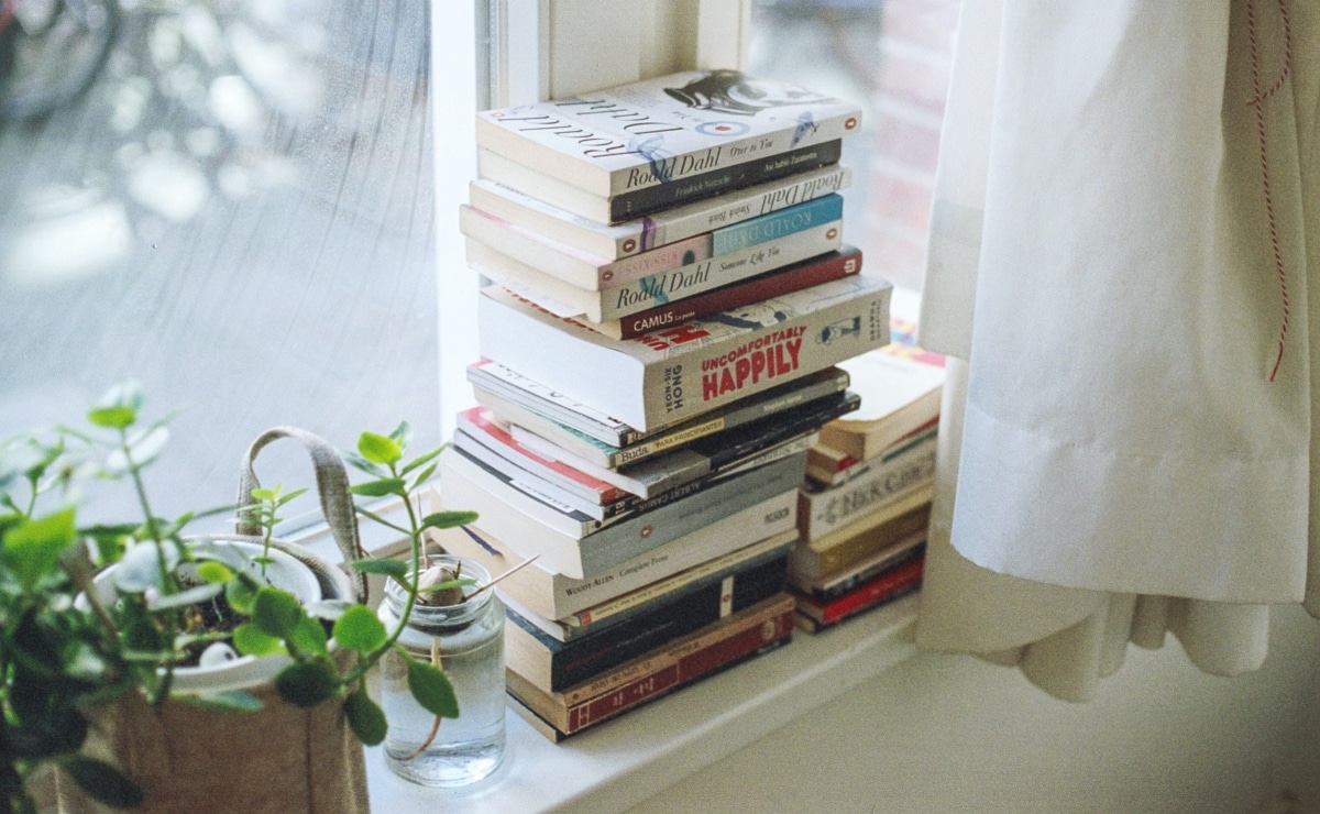 varios libros apilados en repisa de ventana blanca con una planta