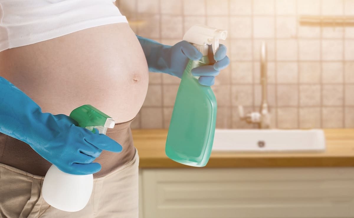 toxic cleaning products for pregnant women