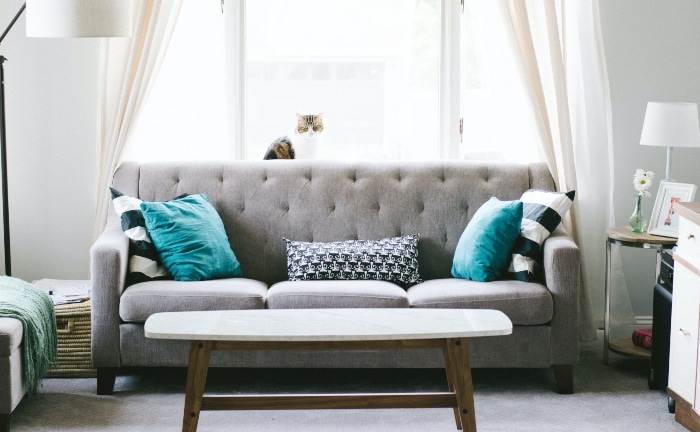 gray sofa with window with cat in the background, two blue and two black and white striped cushions on the sides and a small black and white cushion in the center, with gray carpet, floor lamp and small central table. 