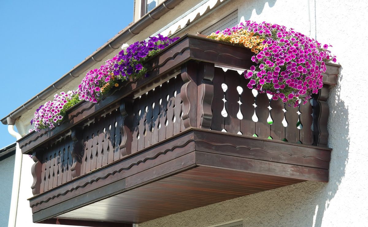 decorar balcon con plantas