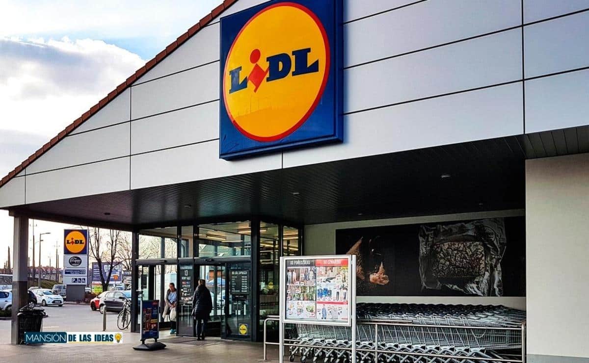 LIDL cepillo-secador perro