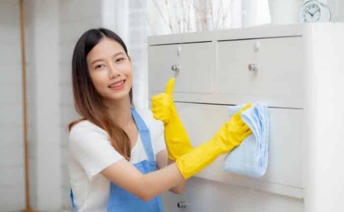 limpiar armario evitar polillas