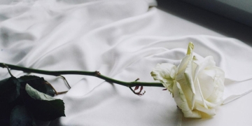 significado rosas blancas