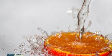 temporada fruta naranja