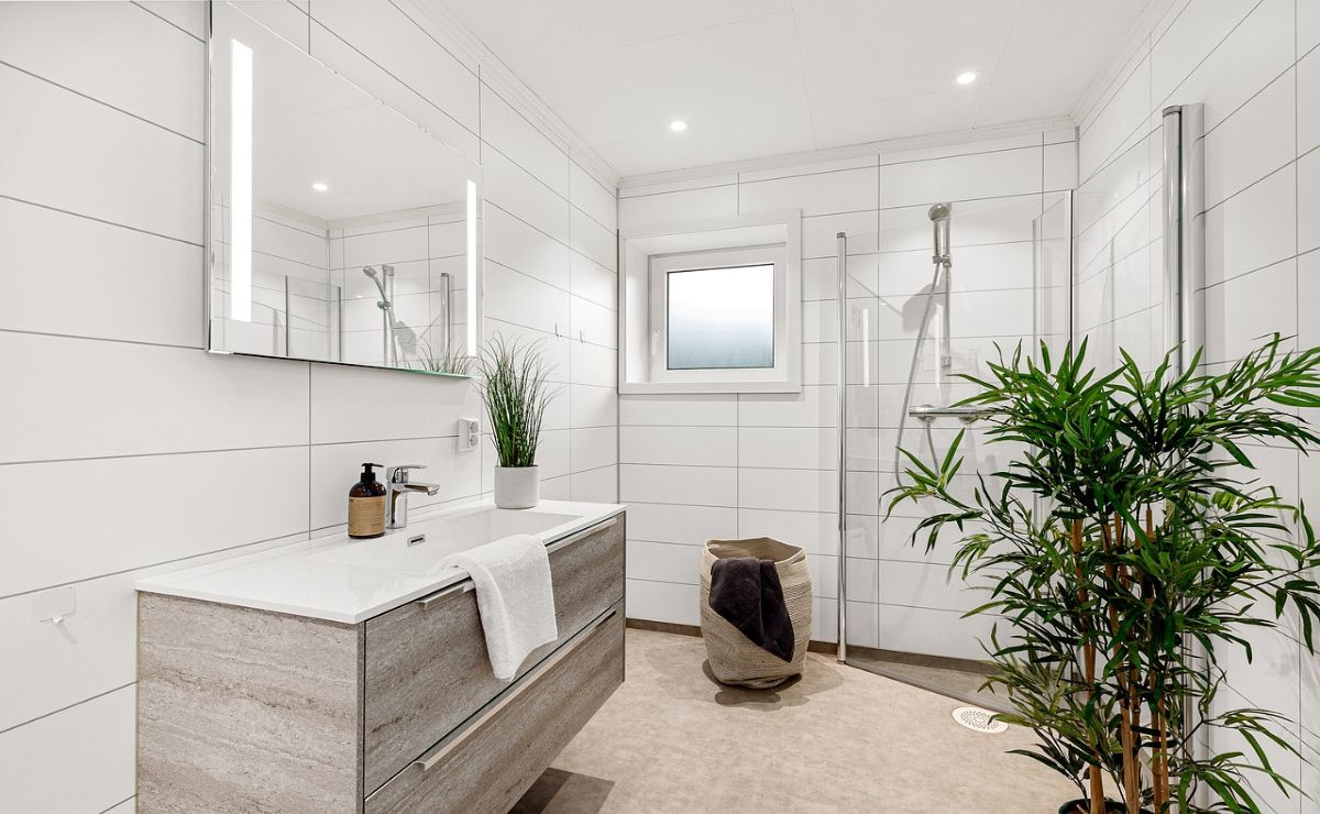 plantas para el baño
