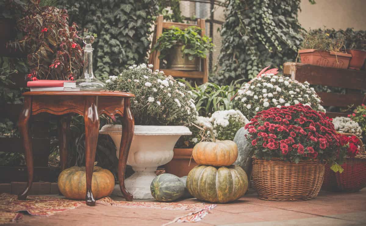 decorating trends for this fall 2022 in the United States