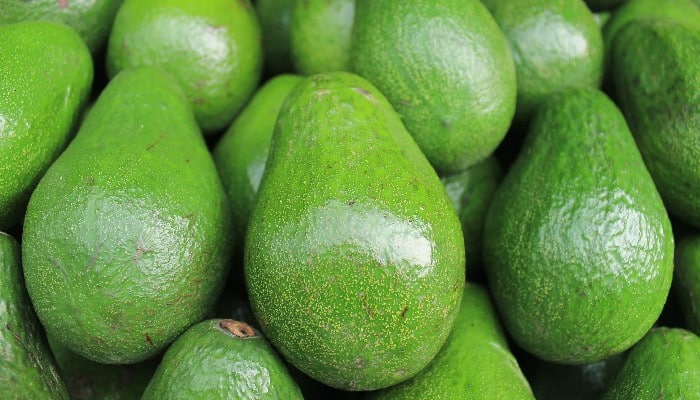 mexican avocado shortage