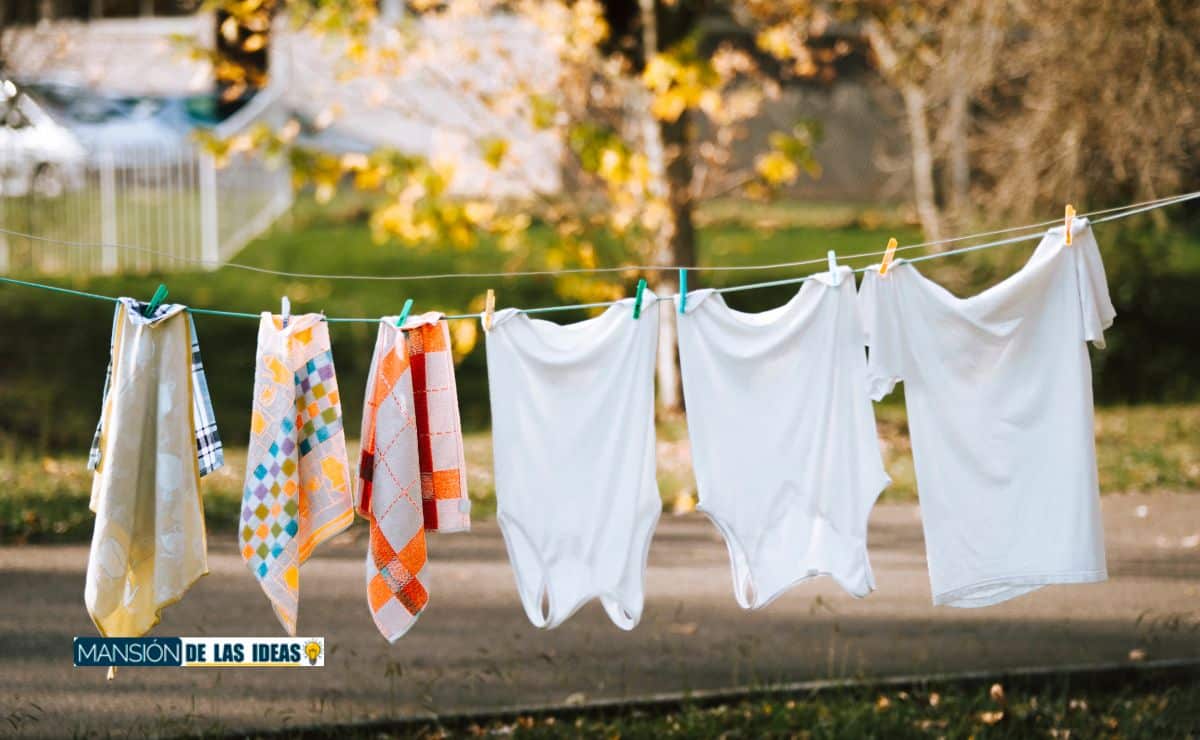 prendas limpieza ropa grasa