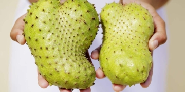 guanábana fruta huesos