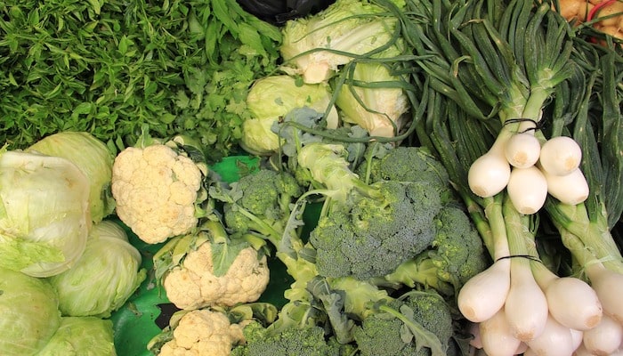 verduras saludables organismo