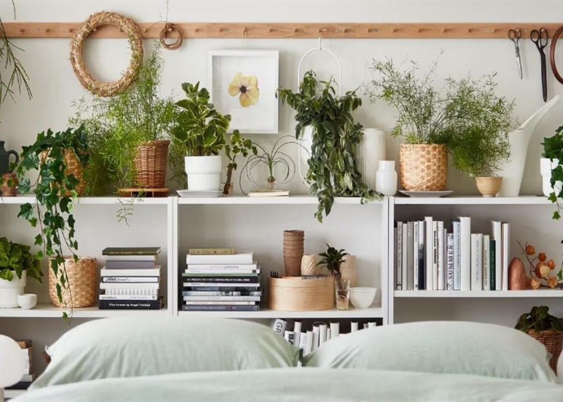 ikea plants - affordable prices deals