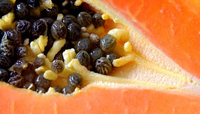 semillas papaya fruta muy saludable