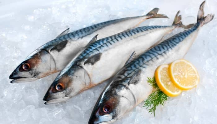 8 alimentos oms pescado