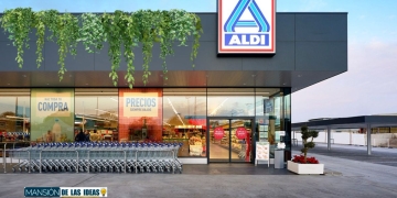 maceteros aldi plantas naturales