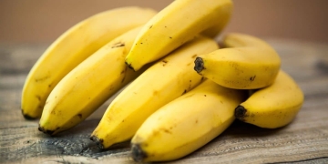 o comas platanos señales