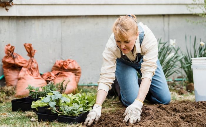 Una mujer plantando en su jardín