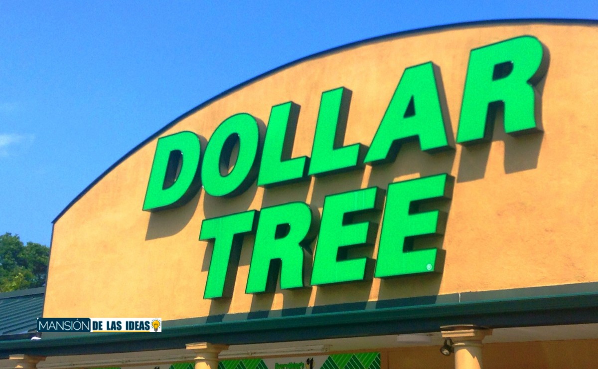 Dollar Tree Bulk Items
