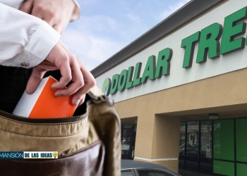 Dollar Tree Shoplifting Theft Stop