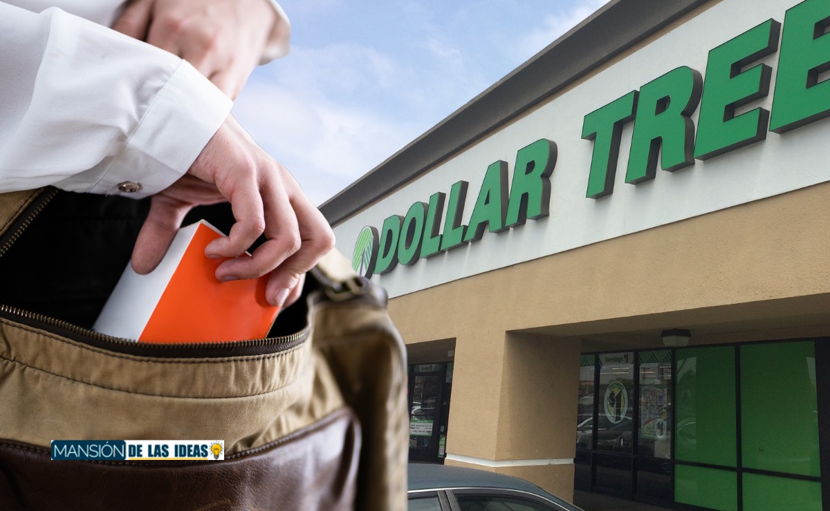 Dollar Tree Shoplifting Theft Stop