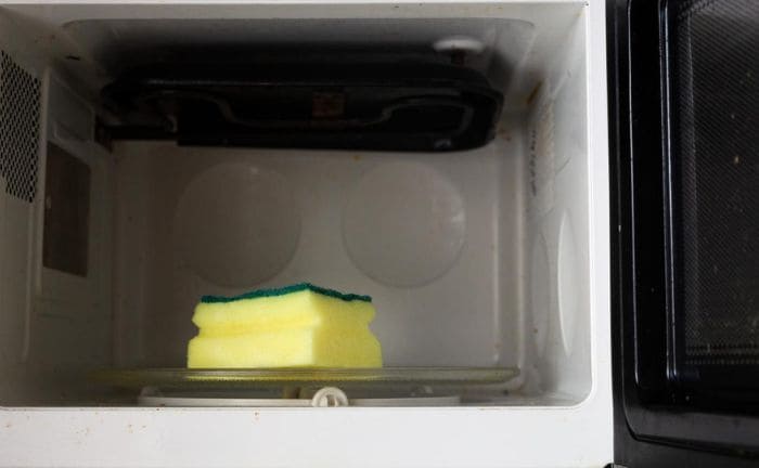limpiar esponja fregar microondas