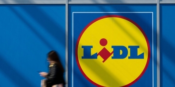 Estas plantas de Lidl elevan las energías en casa