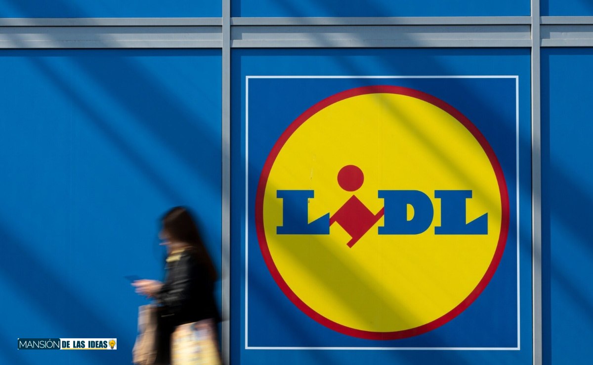 Estas plantas de Lidl elevan las energías en casa