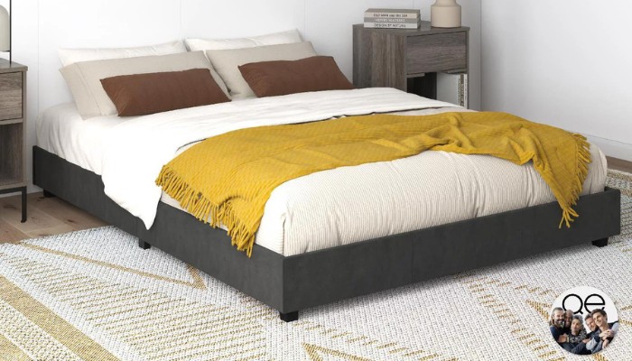 Queer Eye Liam Upholstered Low Bed Frame