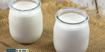 ocu yogures saludables