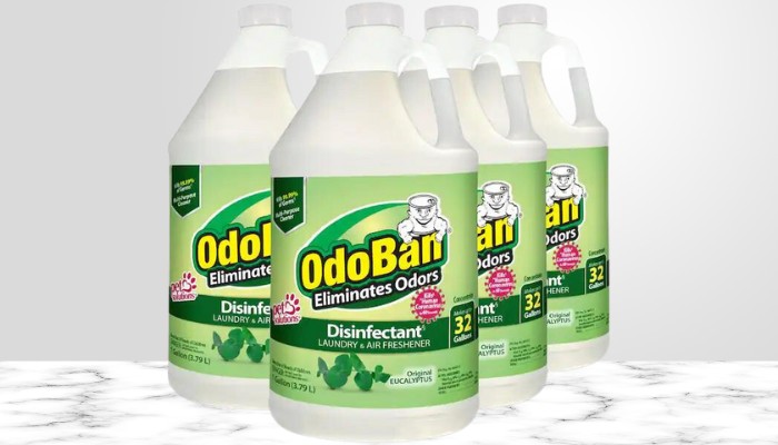 OdoBan Original Eucalyptus Multi-Purpose Disinfectant