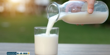 ocu mejor leche mercadona