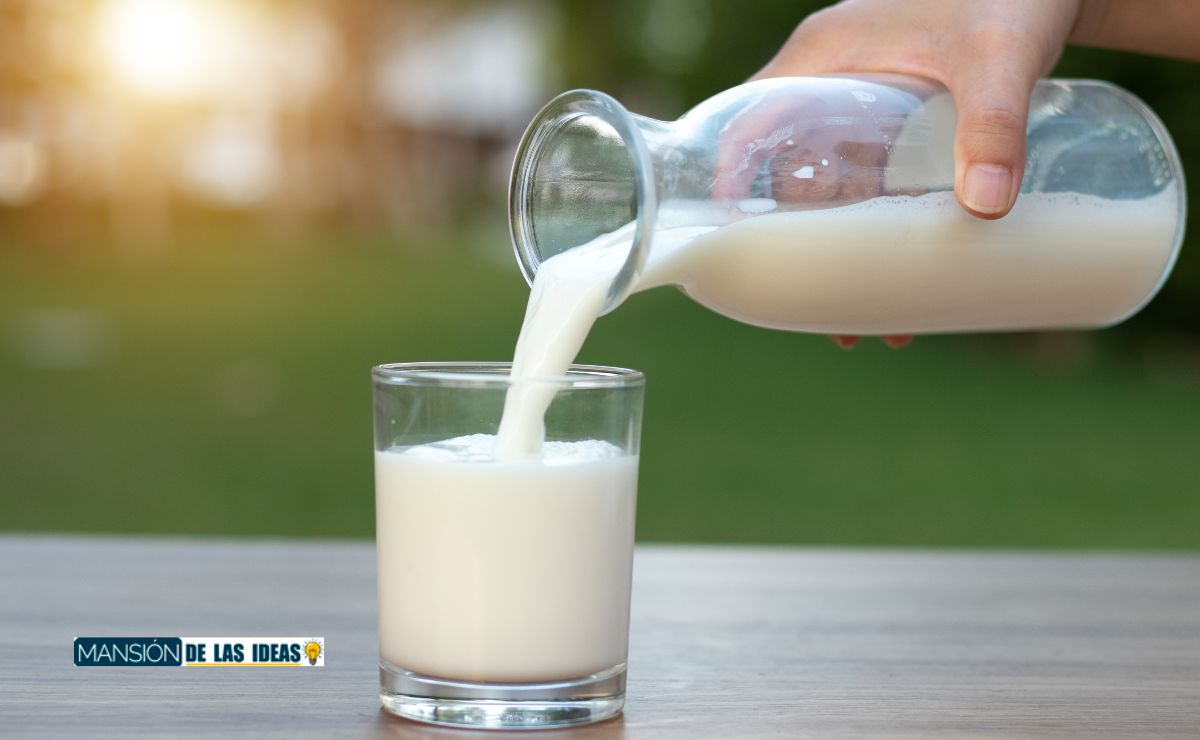 ocu mejor leche mercadona