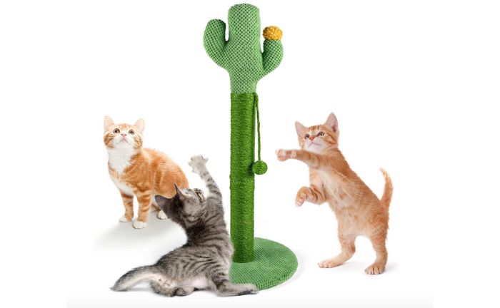 rascador gatos cactus amazon